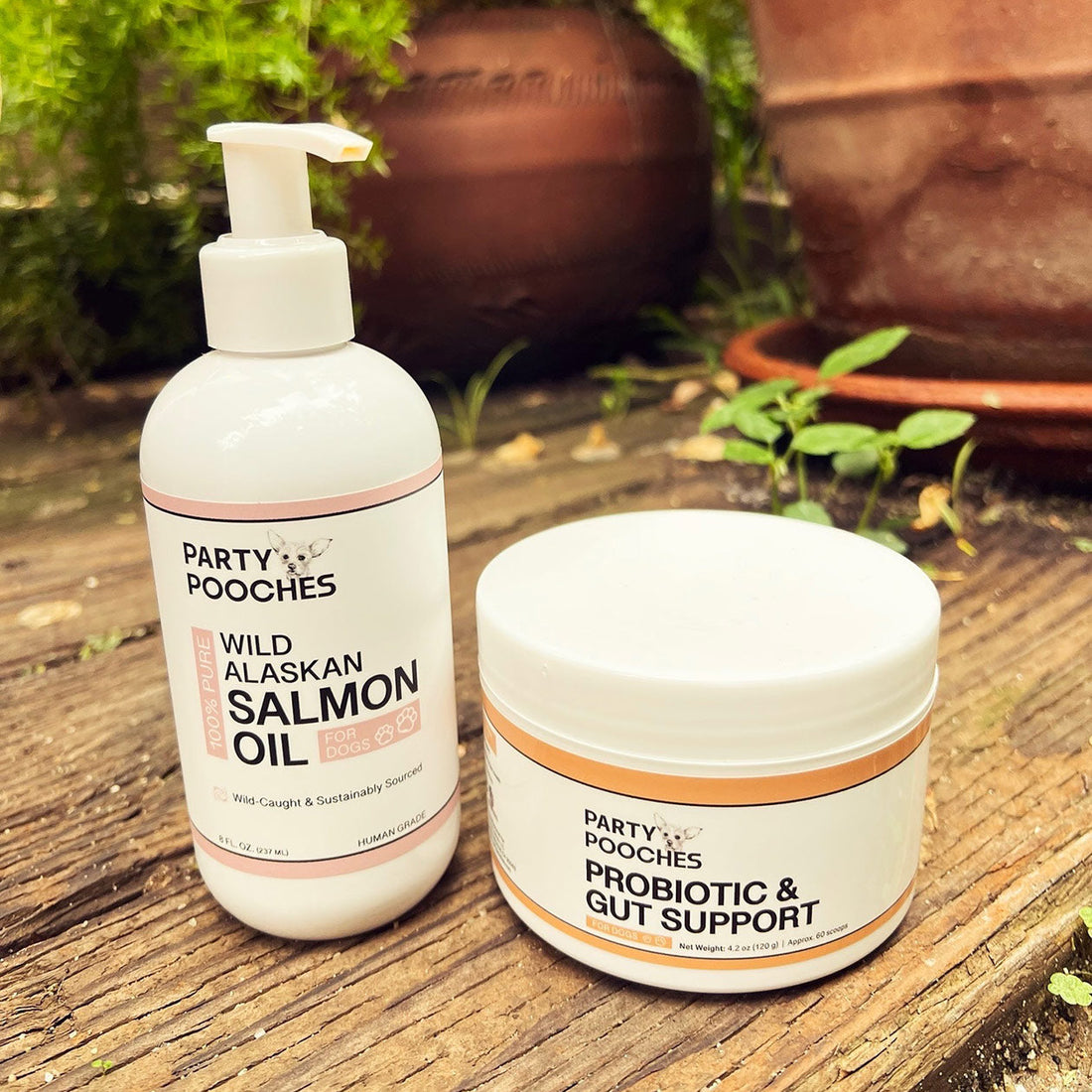 Best Daily Supplements for Dogs: Probiotics and Salmon Oil for Total Wellness